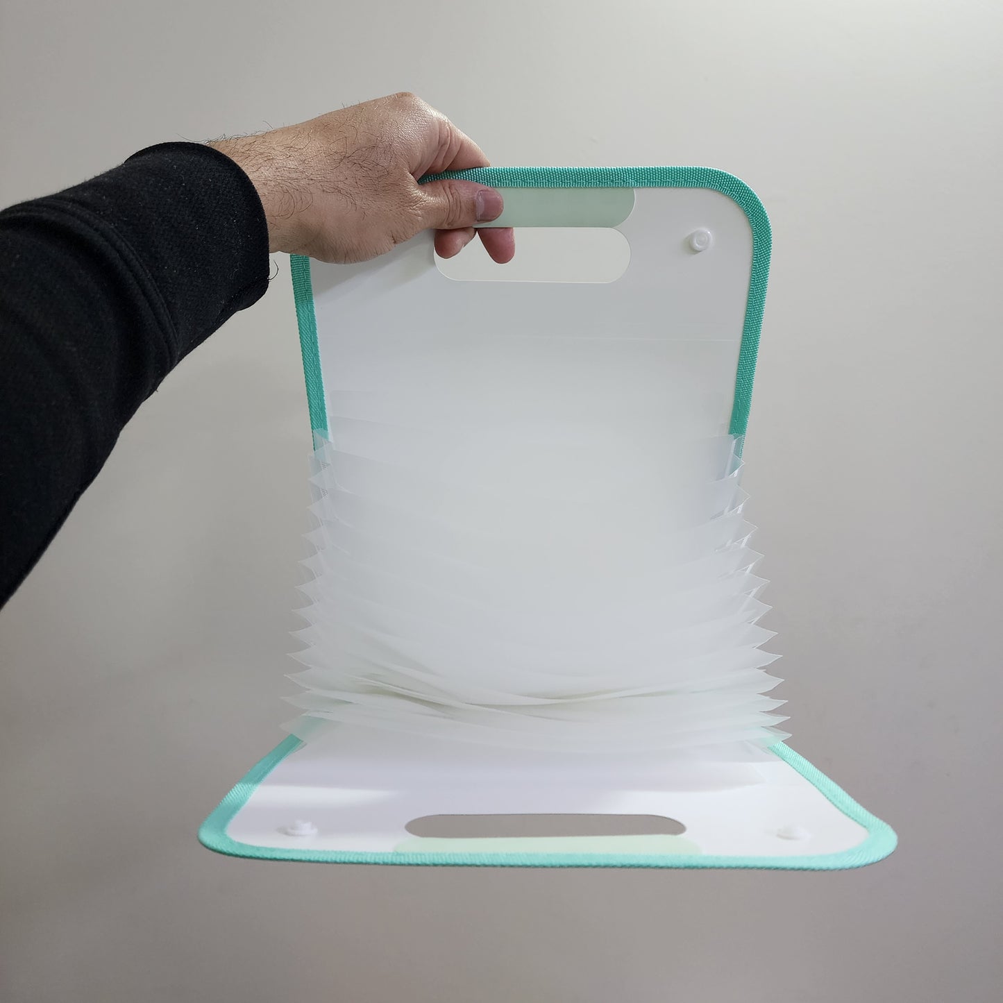 Kawaii File Folder with Button Lock and Handle – Transparent Certificates Holder with 12 Pockets, A4 Size Expandable Folders for Documents