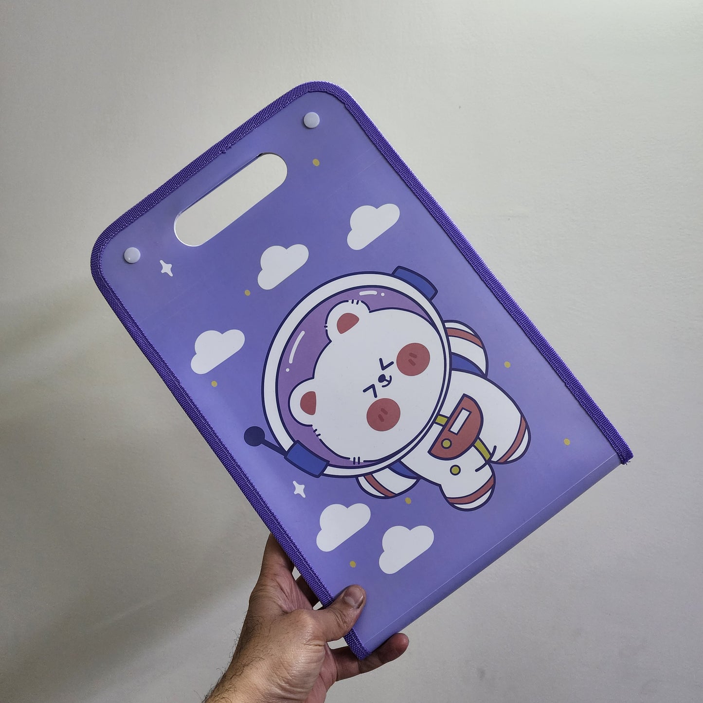 Kawaii File Folder with Button Lock and Handle – Transparent Certificates Holder with 12 Pockets, A4 Size Expandable Folders for Documents