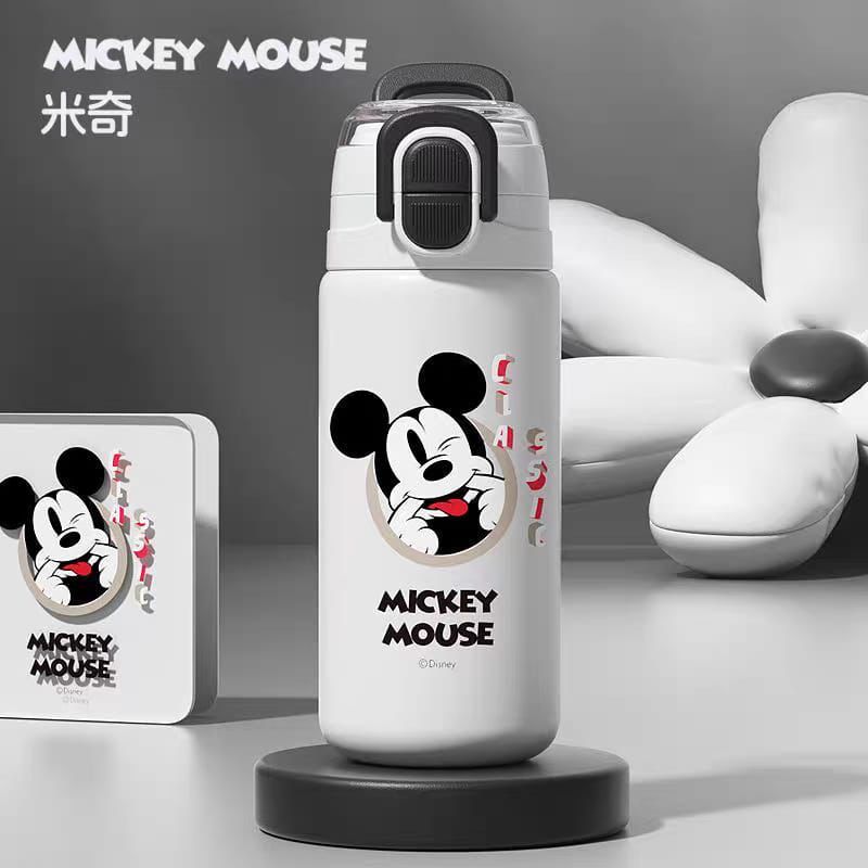 Disney Cartoon-Themed 316 StainSteel Water Bottles - Mickey Mouse, Elsa , Chibi Maruko & Lotso | Double Lid (Straw & Sip)