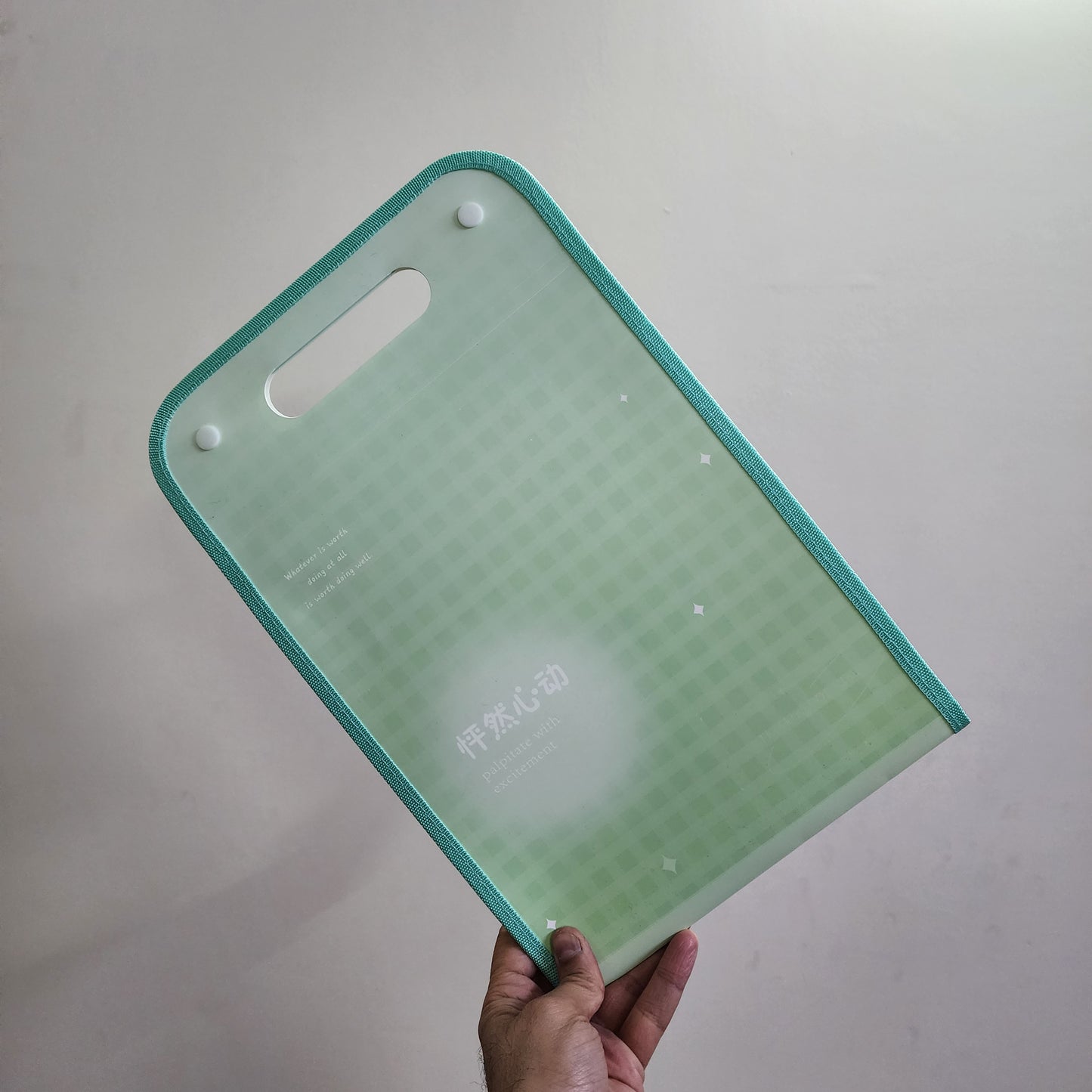 Kawaii File Folder with Button Lock and Handle – Transparent Certificates Holder with 12 Pockets, A4 Size Expandable Folders for Documents